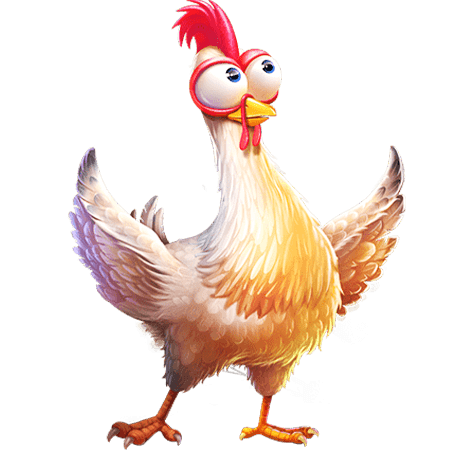 cockfight